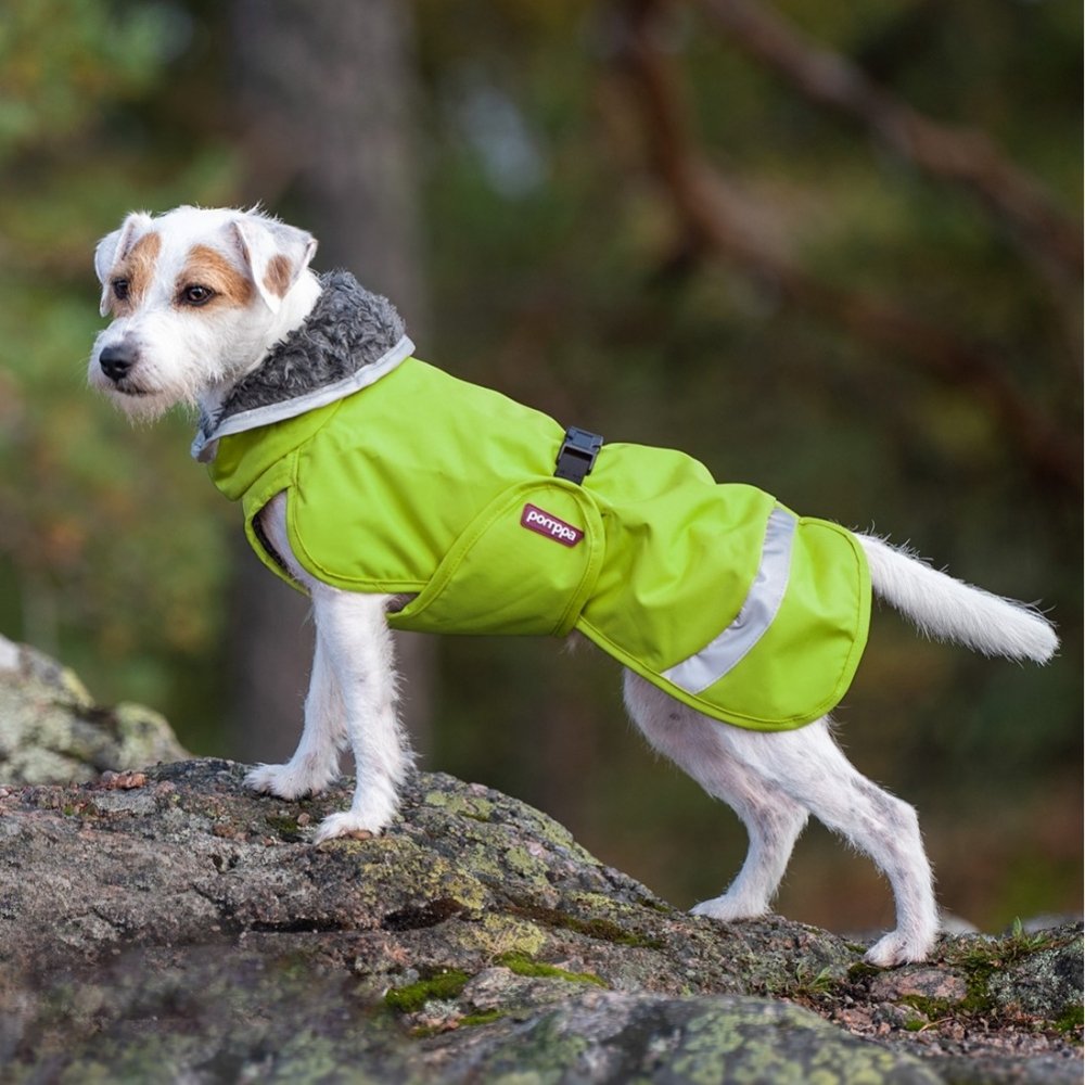 Pomppa Perus Vinterdekken Hund Grøn (25 cm) Hund - Hundeklær - Vinterdekken hund