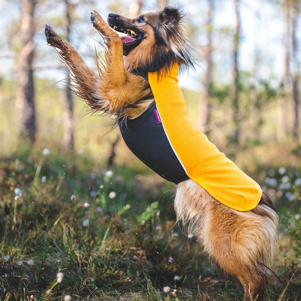 Bilde av Pomppa Jumppa Fleecetrøye Hund Gul (70 cm) - Alt til hunden