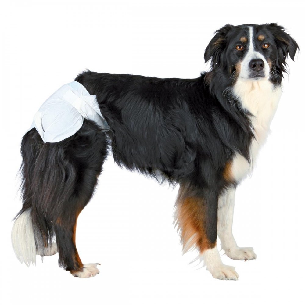 Trixie Hundebleier 12-pakk (L)