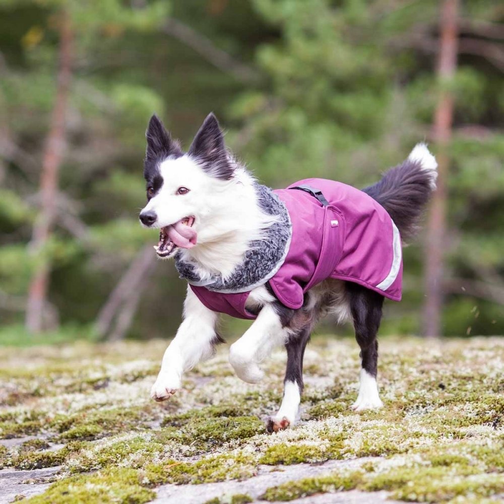 Pomppa Perus Vinterdekken Hund Lilla (25 cm) Hund - Hundeklær - Vinterdekken hund