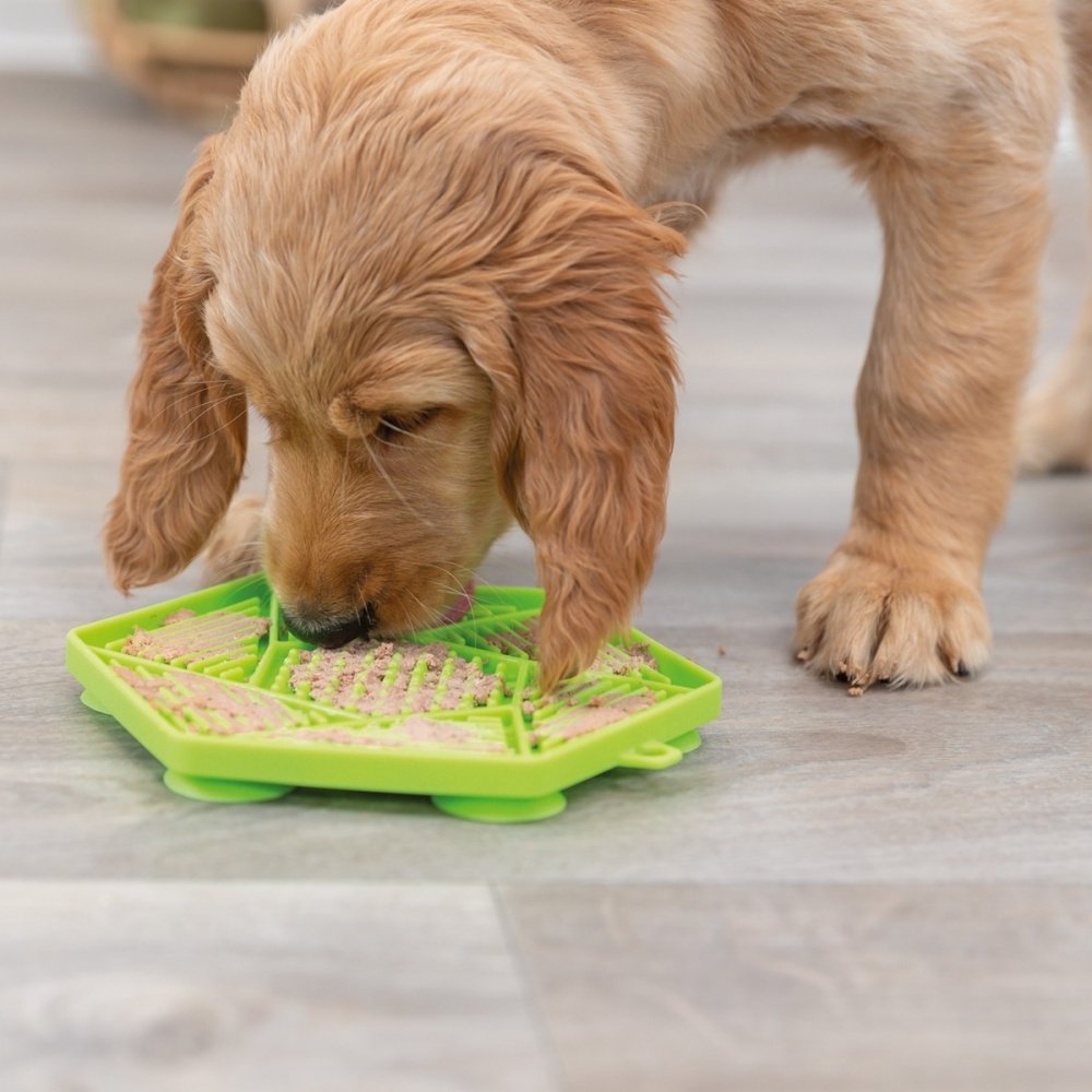 Trixie Lick'n'Snack Slikkematte Grøn 17 cm Hund - Matplass - Slow feeder & Slikkematte til hund