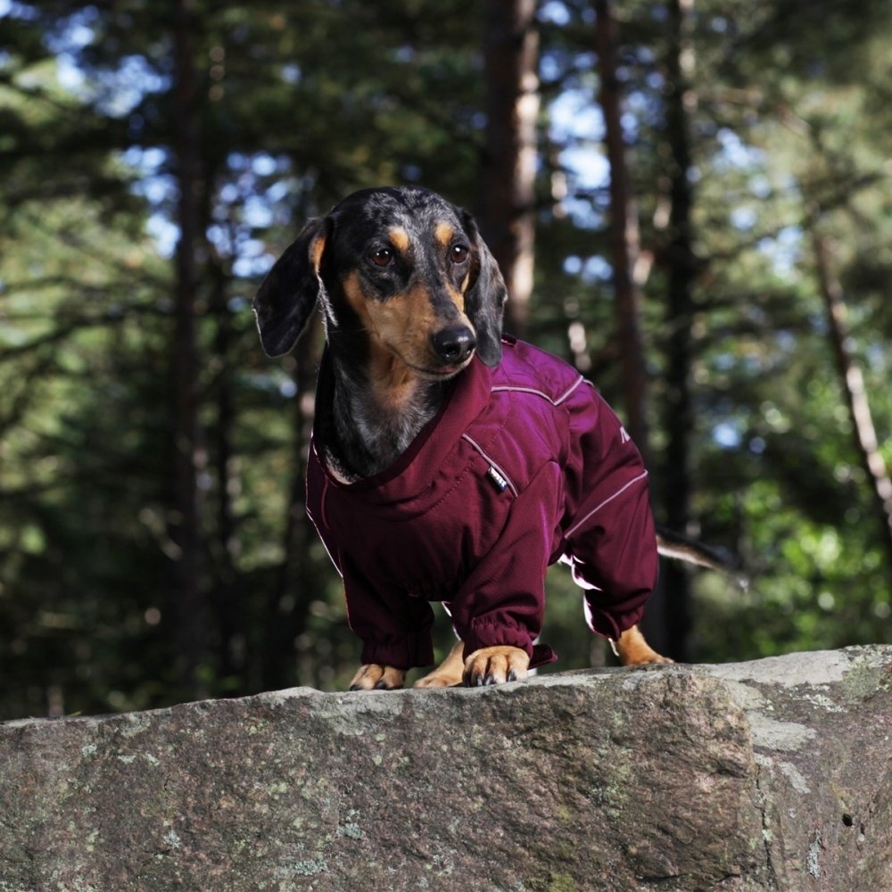 Bilde av Rukka Thermal Hundeoverall Korte Bein Vinrød (40 cm) - Alt til hunden