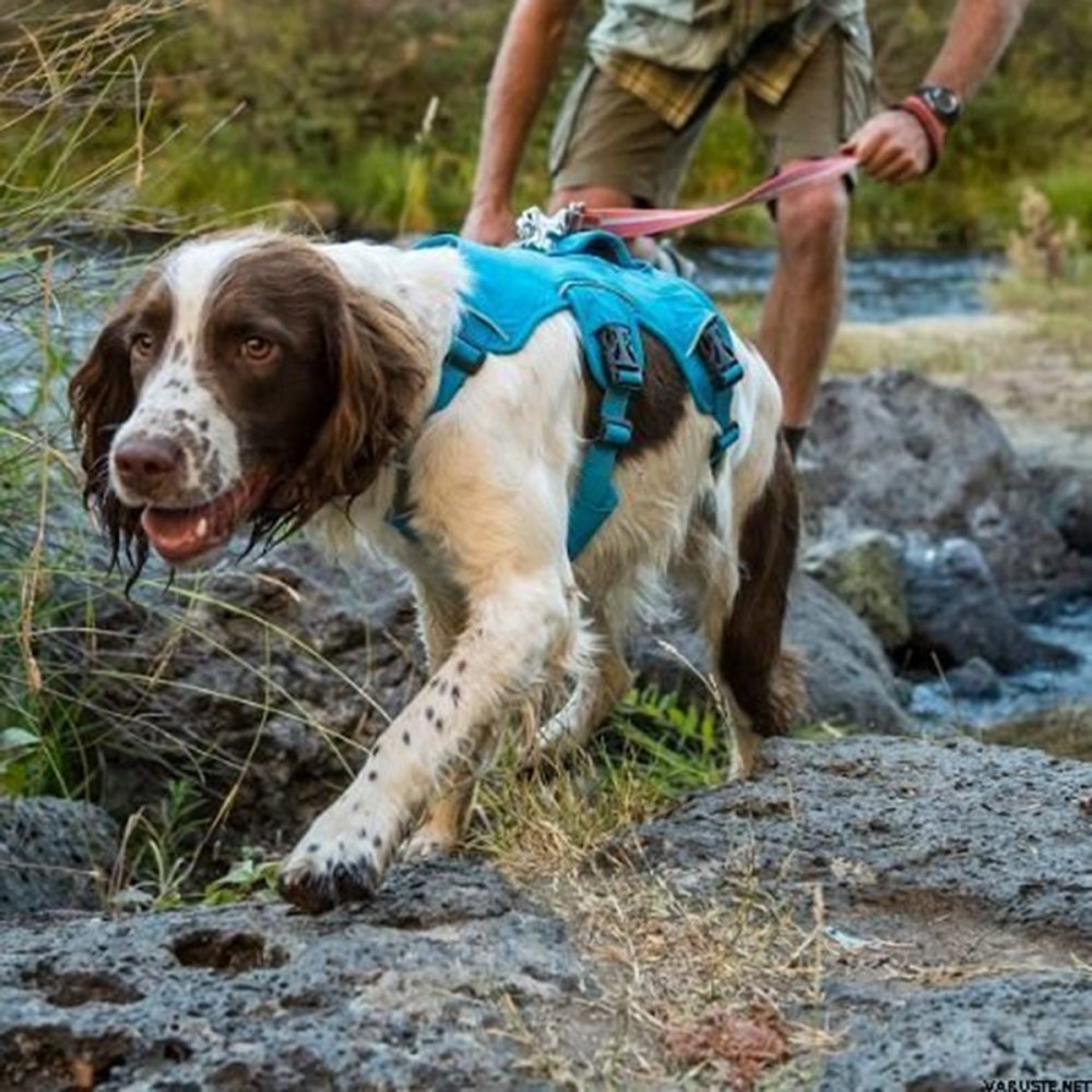 Bilde av Ruffwear Web Master Hundesele Blå (l/xl)