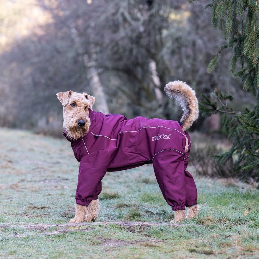 Bilde av Rukka Thermal Hundeoverall Vinrød (25 cm) - Alt til hunden