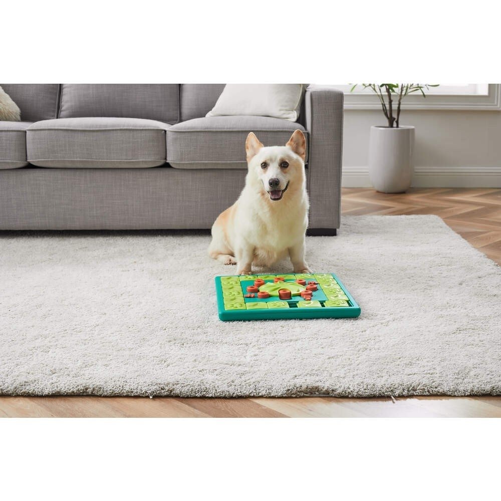 Nina Ottosson Dog Multi Puzzle Grønn Hund - Hundeleker - Aktivitetsleker