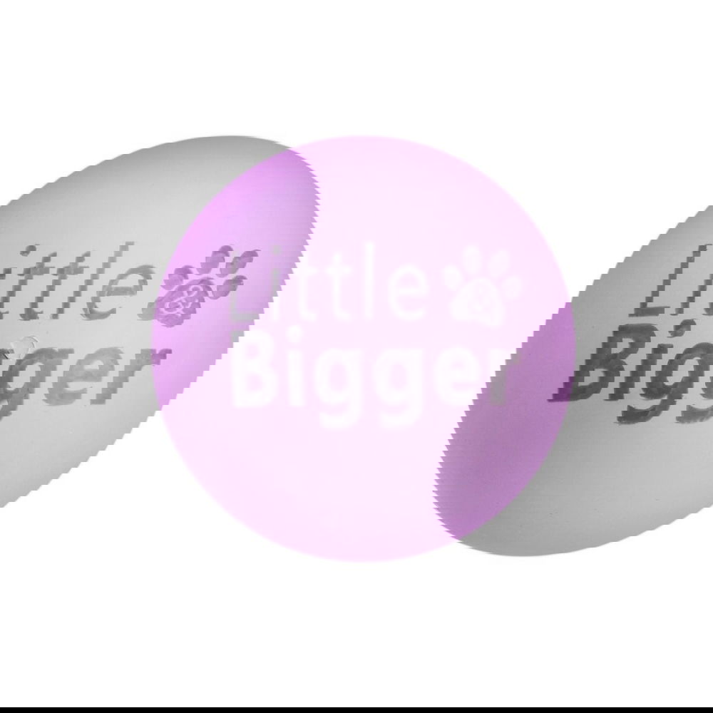 Little&Bigger HotSummer Gummiball 6 cm (Lila)