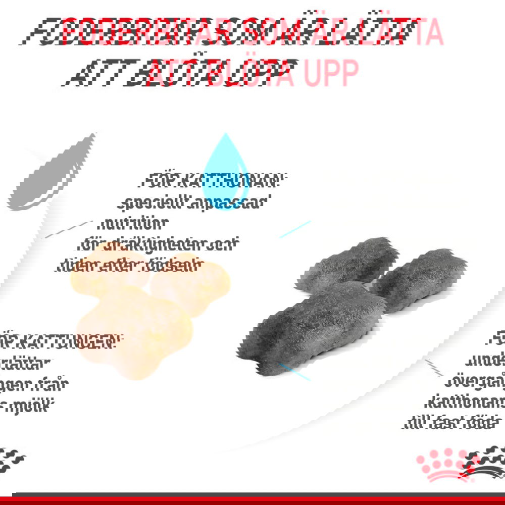 Royal Canin Mother & Babycat (10 kg)