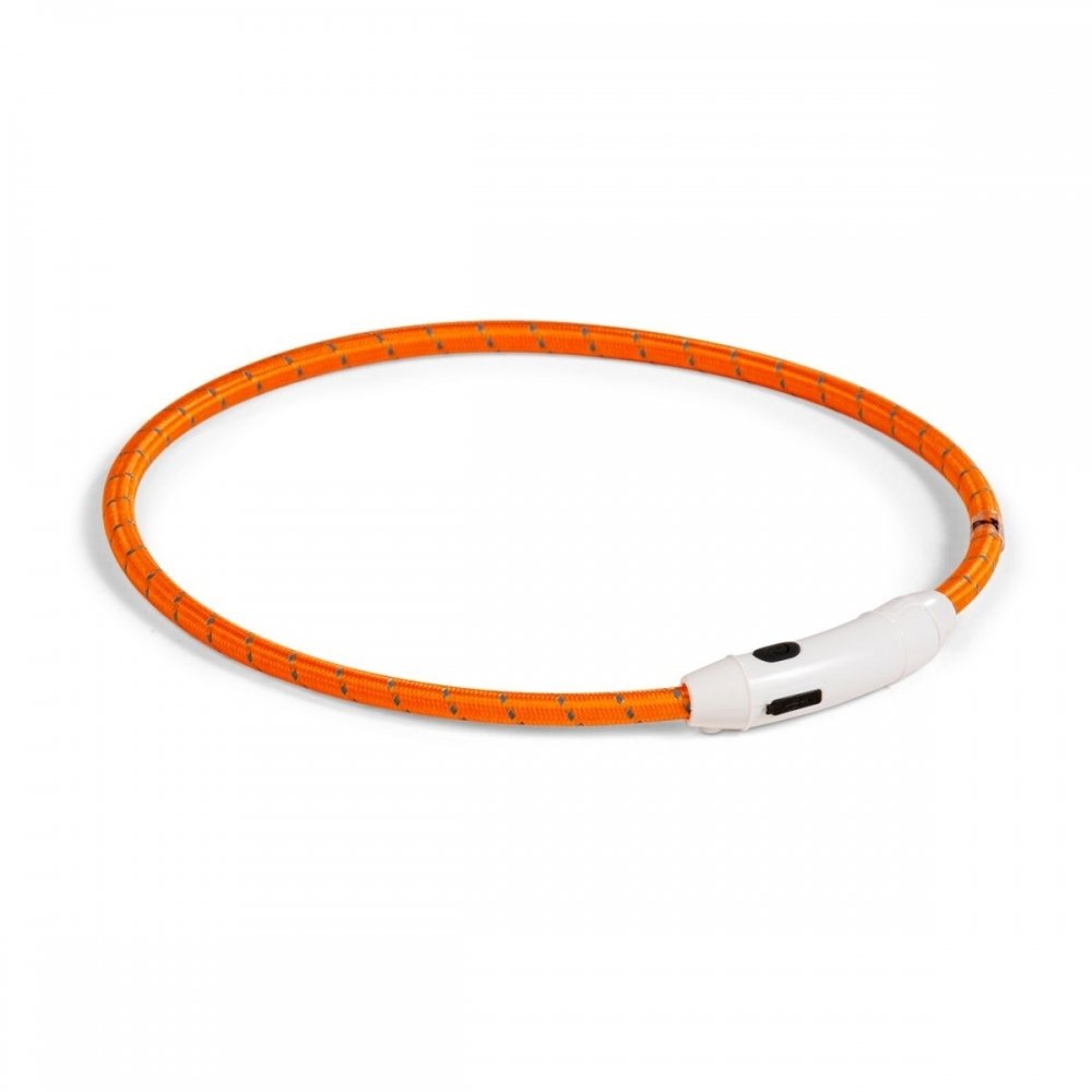 Basic LED-halsbånd til hund Nylon (Orange) Hund - Hundeutstyr - Hundelys