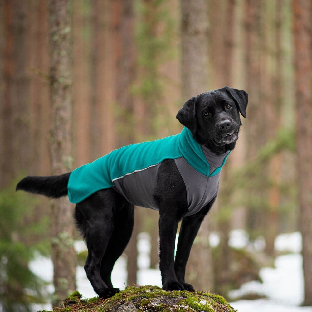 Bilde av Pomppa Jumppa Hundedekken Blågrønn (25) - Alt til hunden