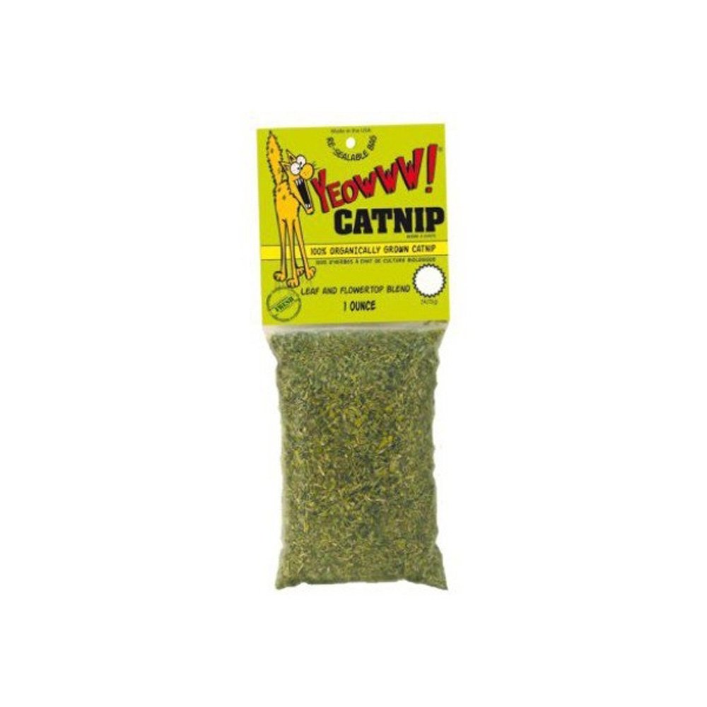 YEOWWW CATNIP 30GR Katt - Katteleker - Kattemynte