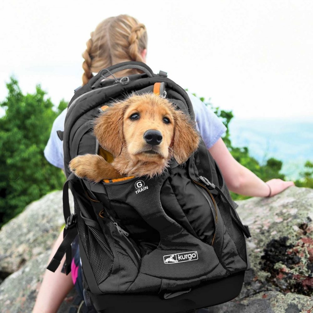 Kurgo G-Train K9 Pack Ryggsekk (Svart)