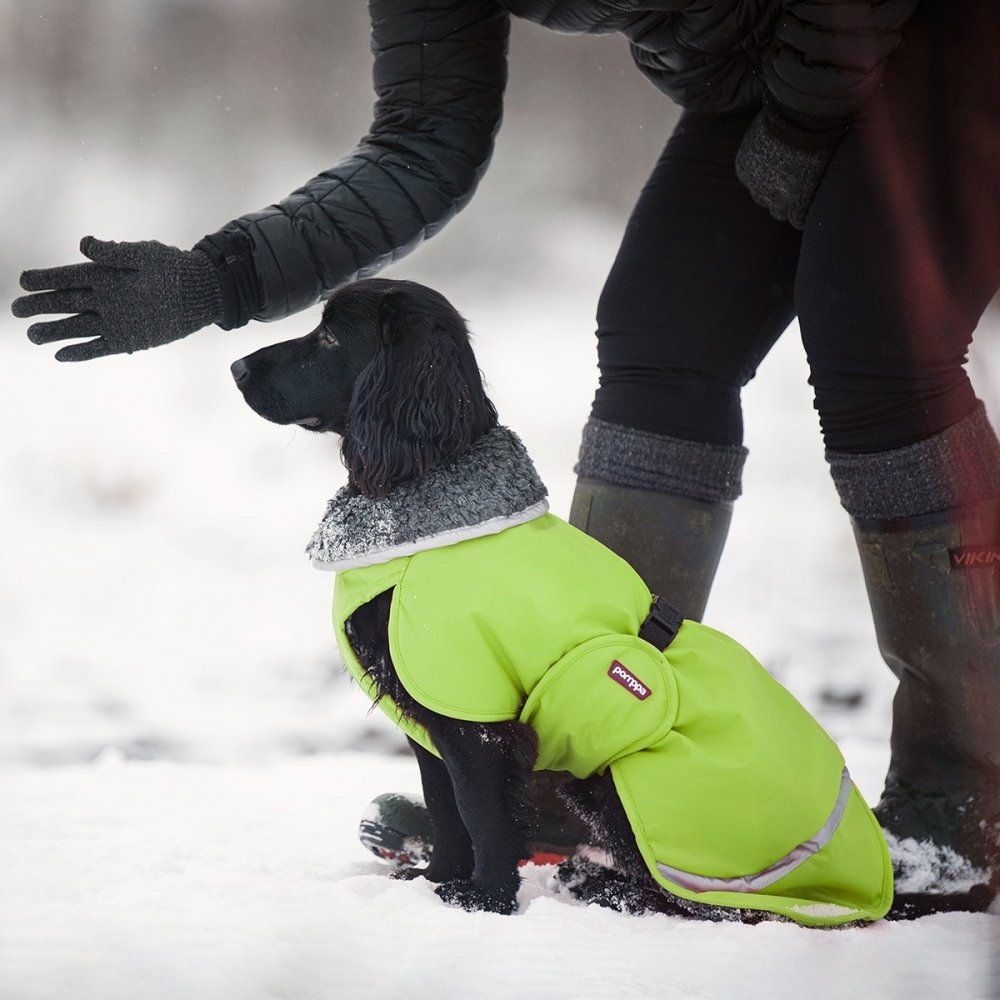 Pomppa Toppa Ekstra Varmt Vinterdekken Grøn (25 cm) Hund - Hundeklær - Vinterdekken hund