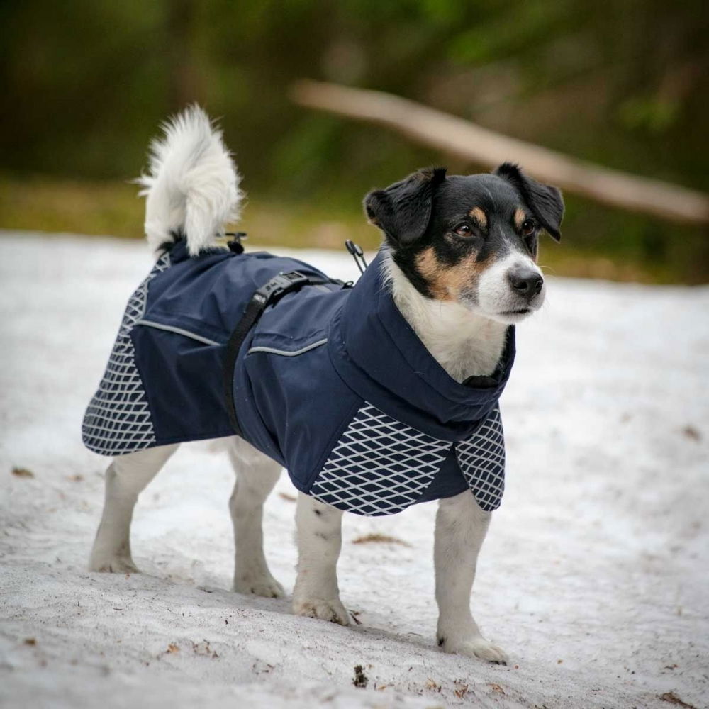 Bilde av Feel Active Glacier Vinterdekken Blå (20 cm) - Alt til hunden