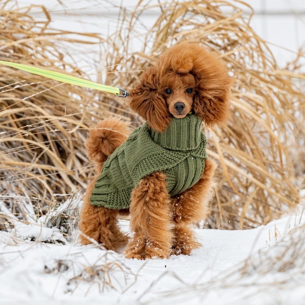 Bilde av Rukka Wooly Hundegensere Strikket Grønn (L) - Alt til hunden