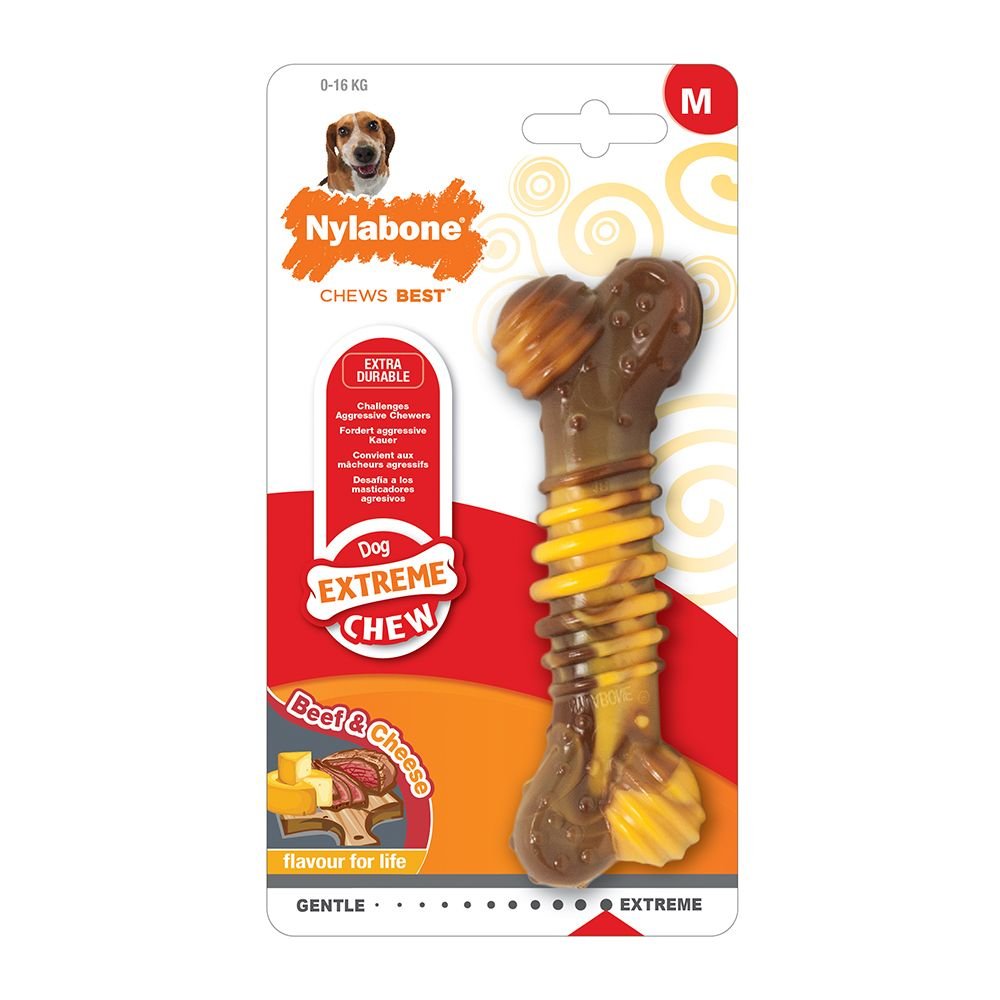 Nylabone Extreme Texture Beef & Cheese (M) Hund - Hundeleker - Tyggeleker