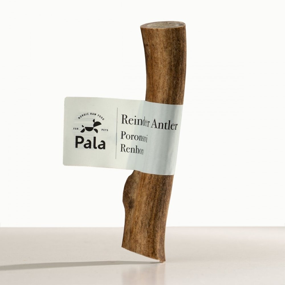 Pala Reindeer Horn (L) Hund - Hundegodteri - Hundebein