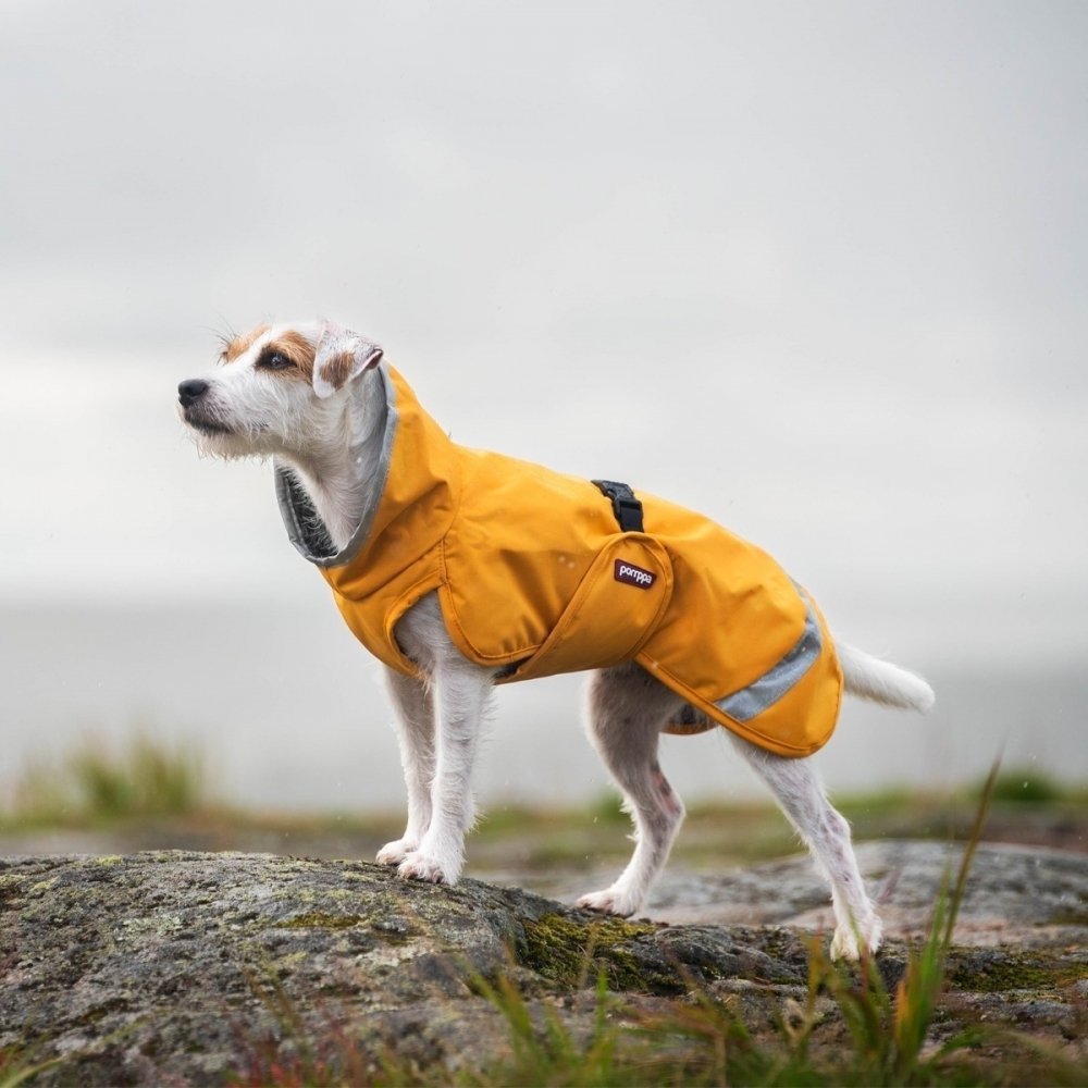 Bilde av Pomppa Perus Vinterdekken Hund Gul (25 cm) - Alt til hunden