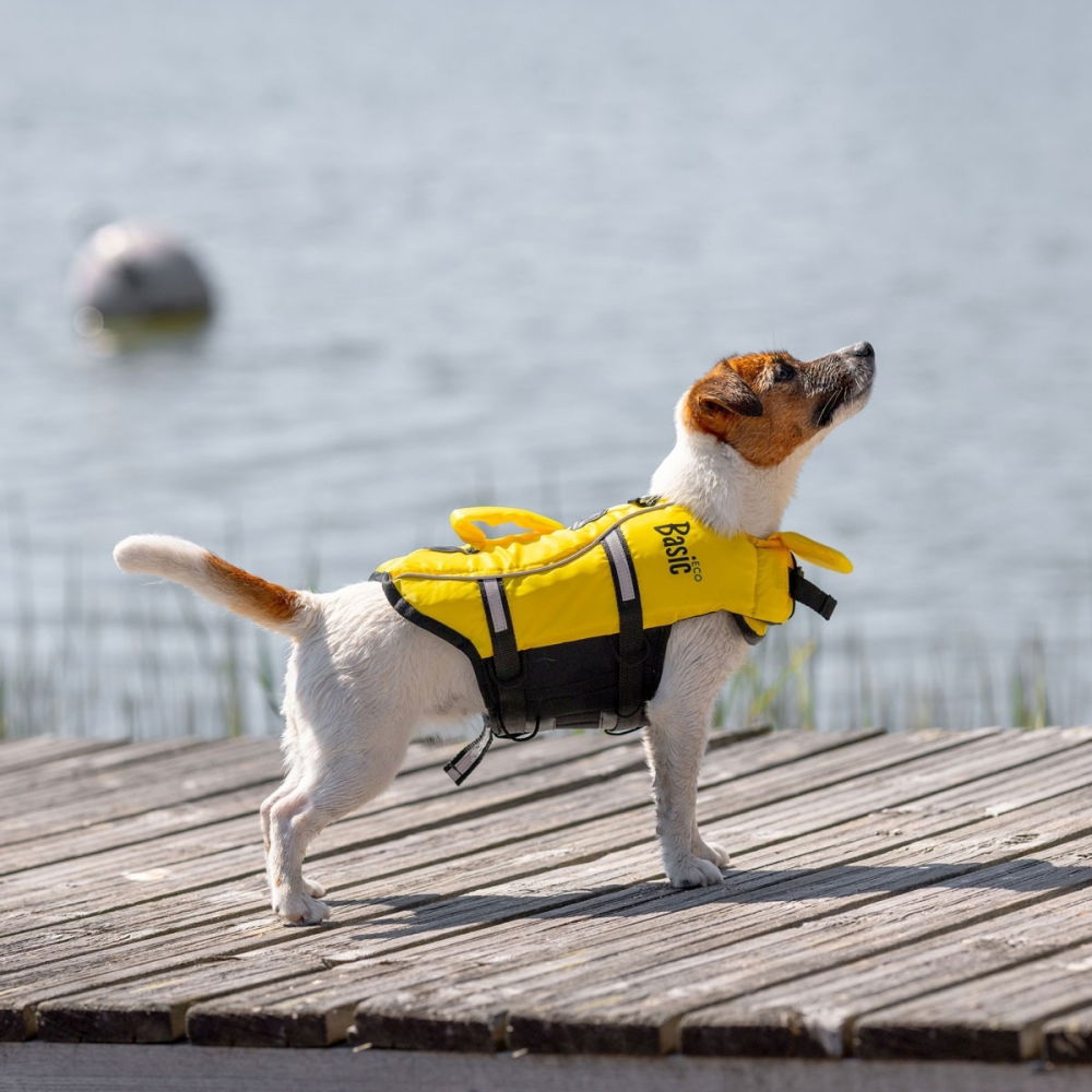 Bilde av Basic Eco Redningsvest hund Gul (L) - Alt til hunden