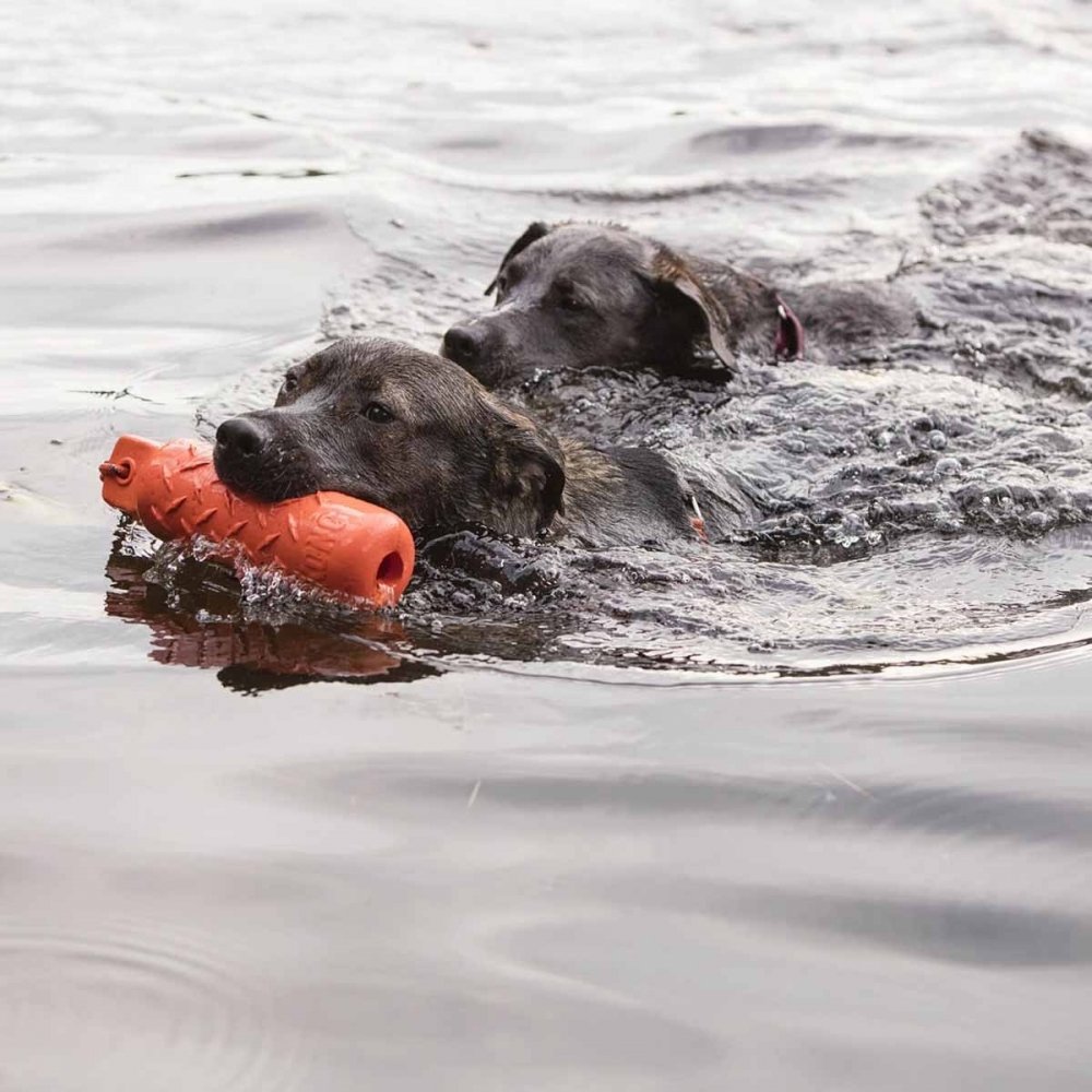 KONG Training Dummy (L) Hund - Hundeleker - Vannleker