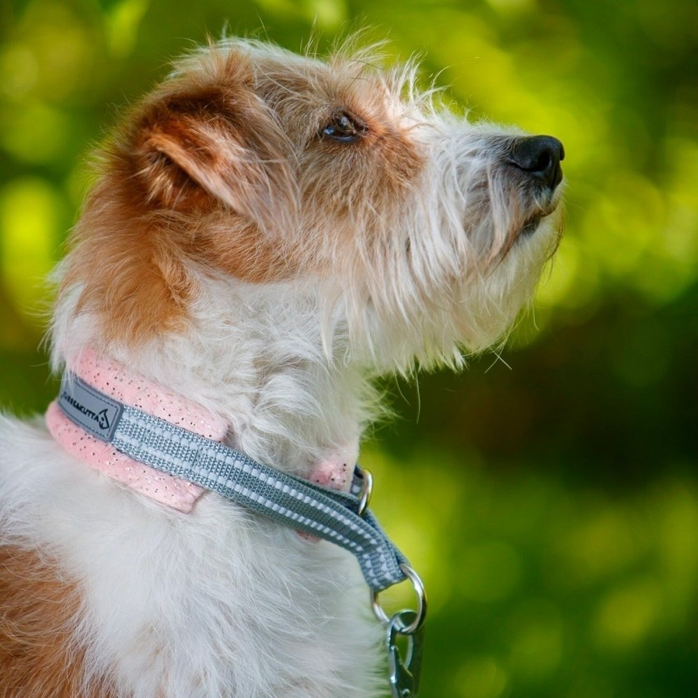 Kusse & Kutta Hundehalsbånd Myk Glitter Fersken (4)