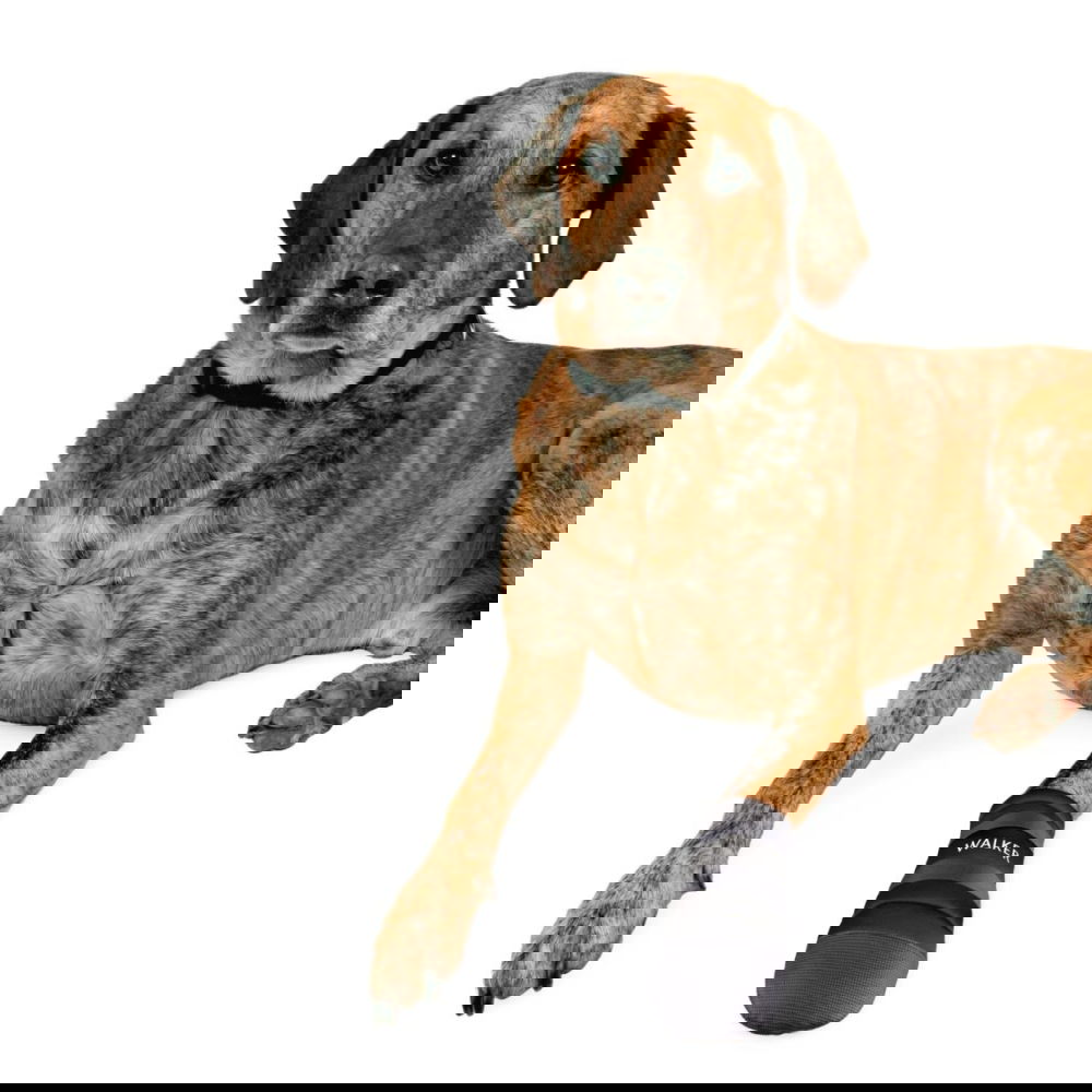 Bilde av Trixie Hundesko Neopren 2-pack (XXL) - Alt til hunden
