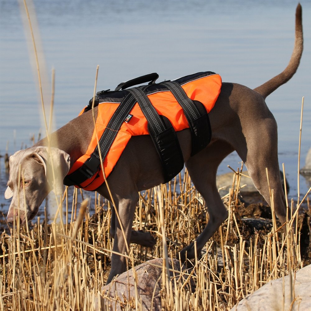 Bilde av Rukka Safety flytevest oransje (L) - Alt til hunden