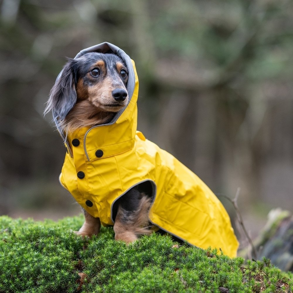 Bilde av Rukka Stream regndekke navy gul (25 cm) - Alt til hunden