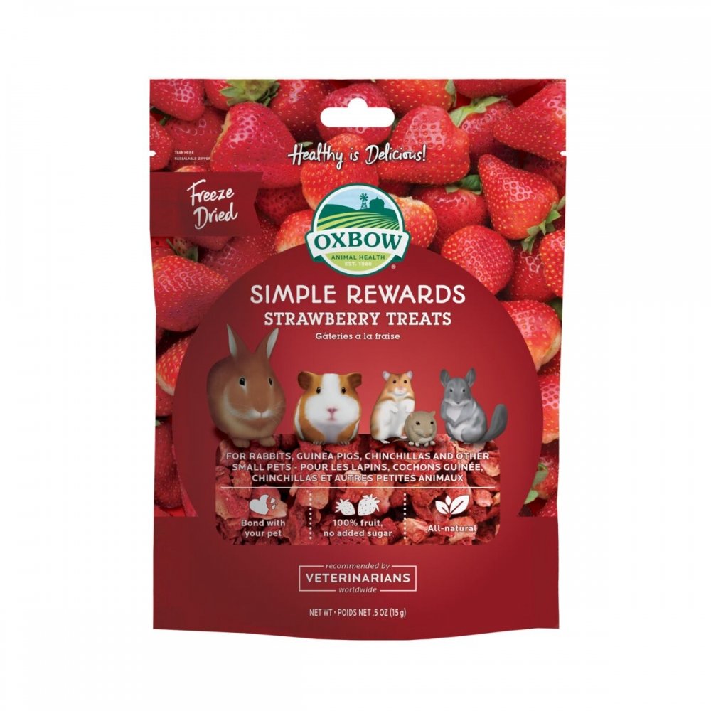Oxbow Simple Rewards Strawberry Treats 15 g Andre smådyr - Ørkenrotte