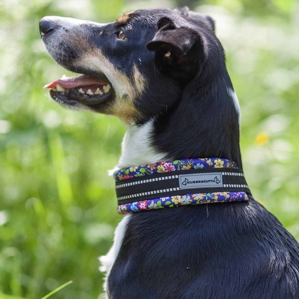 Kusse&Kutta Hundehalsband Lycra Bred Modell Blomster (7)