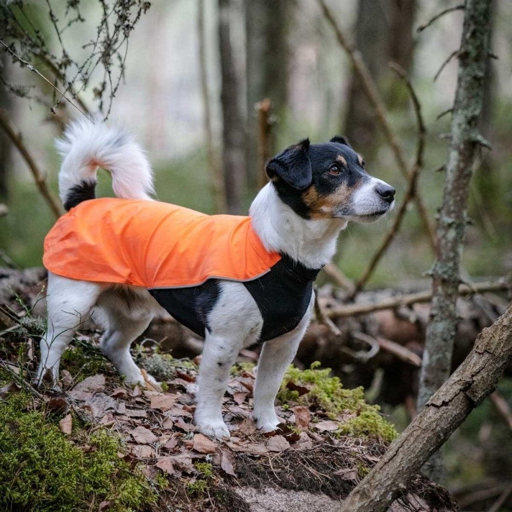 Feel Active Drammen Hundegenser Oransje (30 cm) Hund - Hundeklær - Hundegensere
