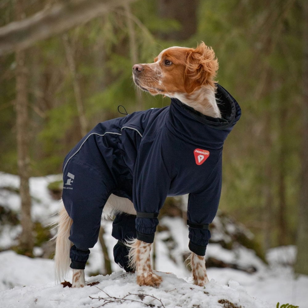 Bilde av Feel Active Snow Vinteroverall, Blå (25) - Alt til hunden