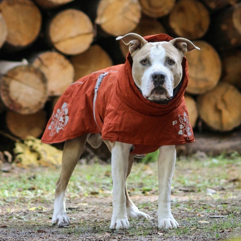 Bilde av Hurtta Extreme Warmer Eco Hundejakke Rødbrun (55 Cm)