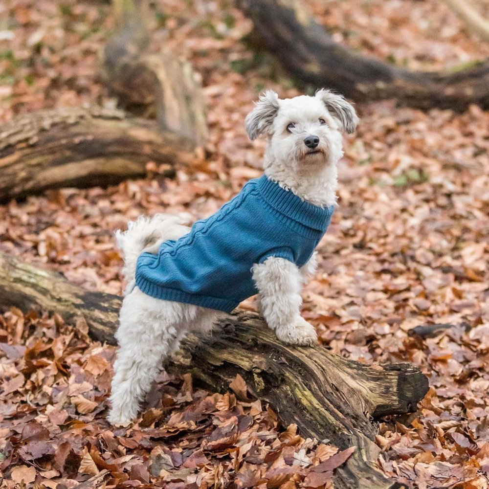 Bilde av Trixie Kenton Hundegenser Blå (30 cm) - Alt til hunden