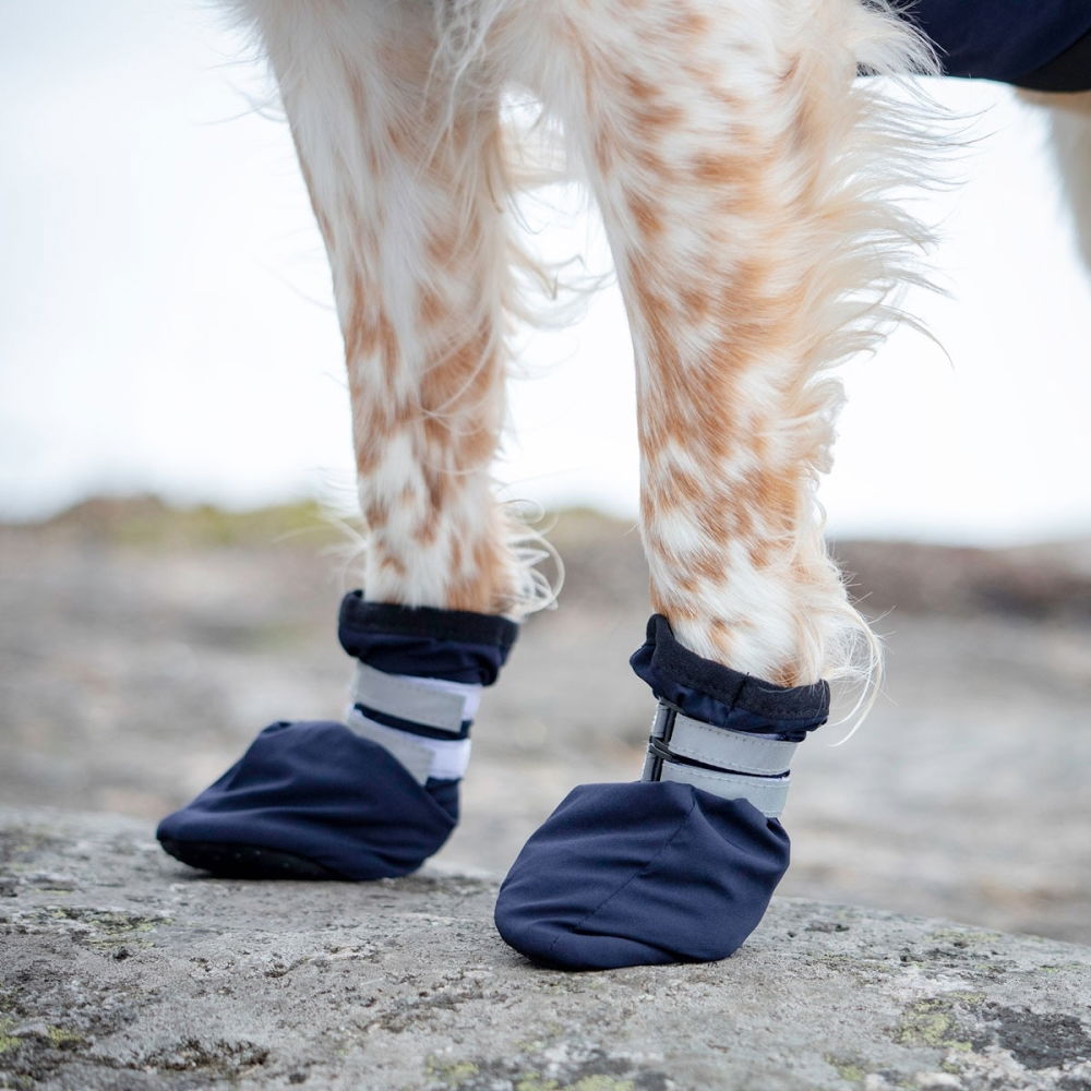 Bilde av Feel Active Snow Potesokker Blå, 2 stk (1) - Alt til hunden