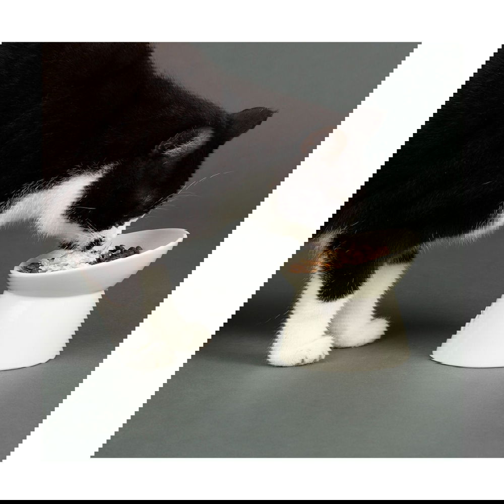Scruffs Icon Hevet Matskål til Katt Hvit