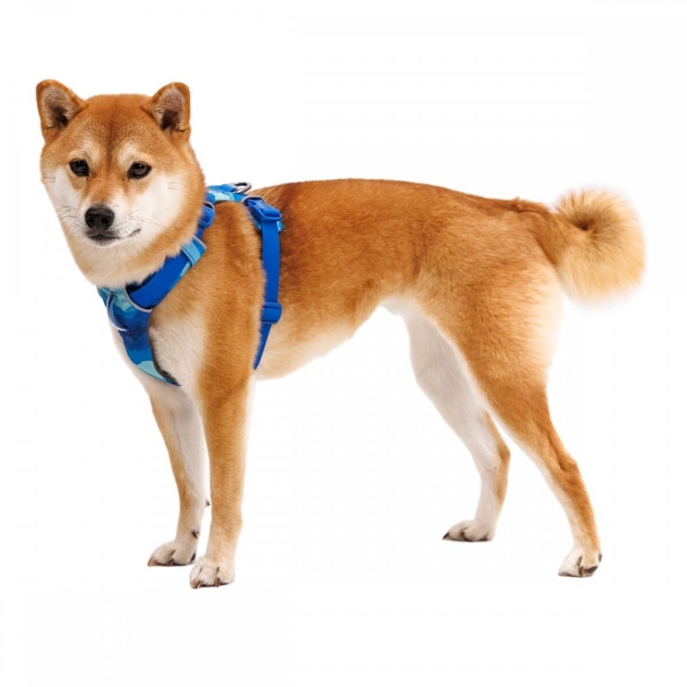 Ruffwear Front Range Hundesele Blå/Lysblå (M) Hund - Hundeutstyr - Hundeseler