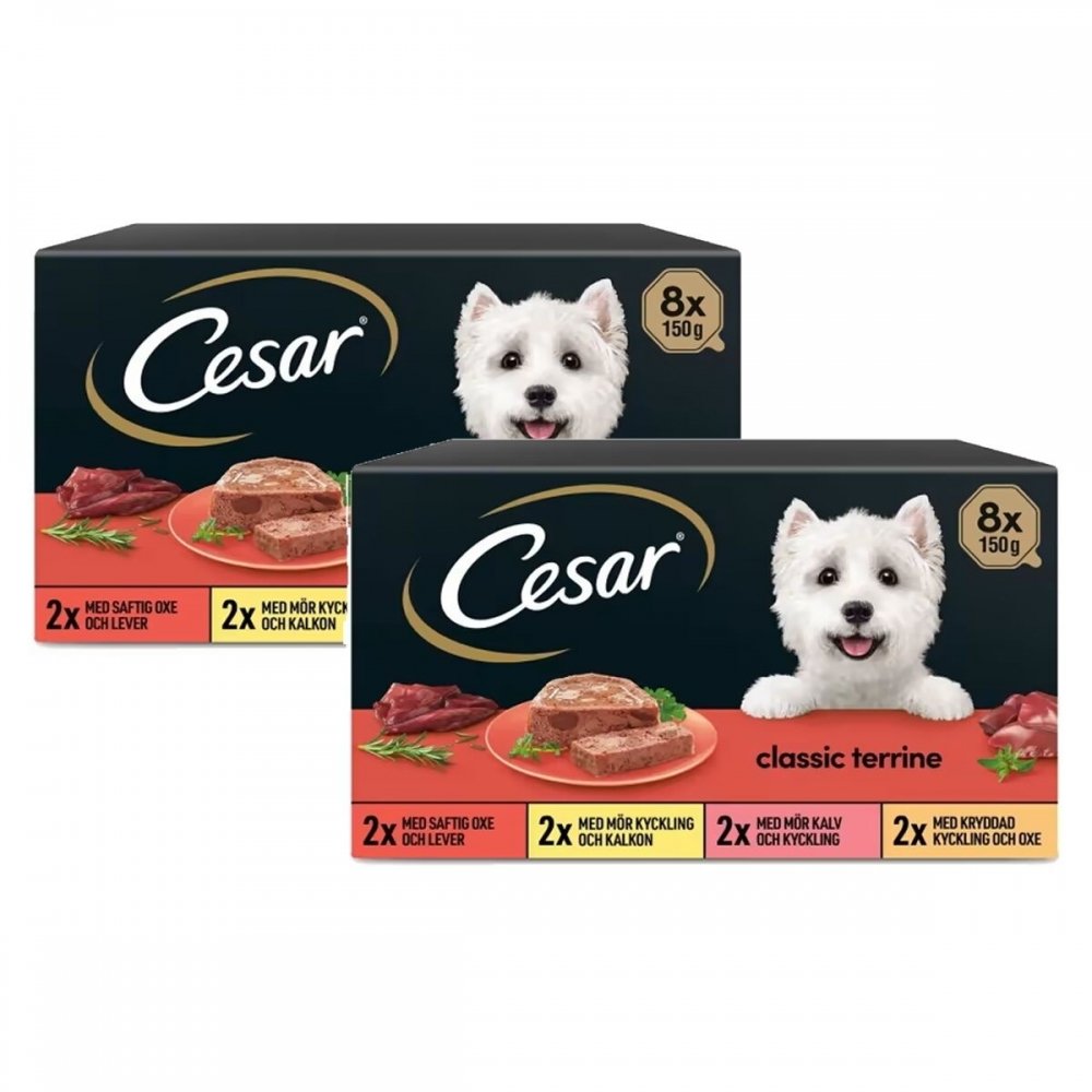Cesar Classic Terrine Adult Loaf 24x150 g Hund - Hundemat - Våtfôr