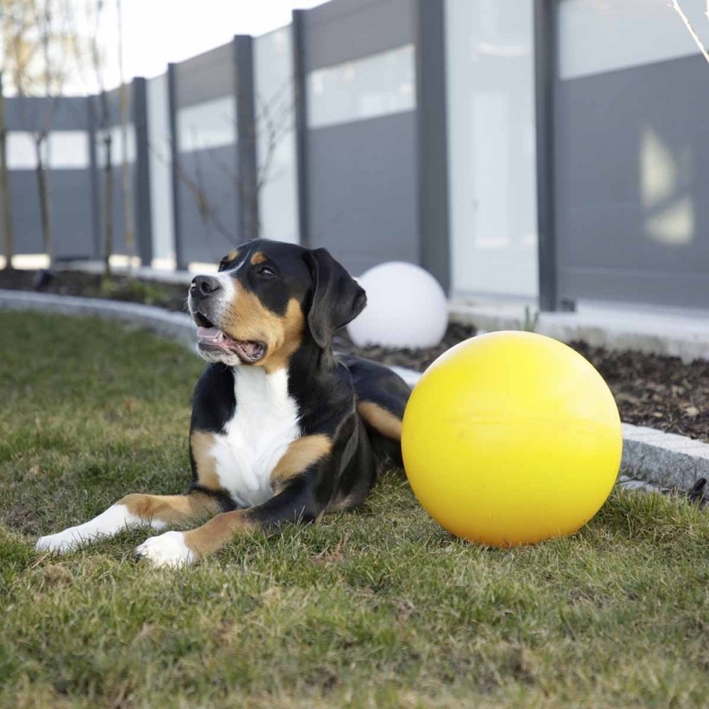 Kerbl Ball til Hund Hard Plast 30 cm Hund - Hundeleker - Ball til hund