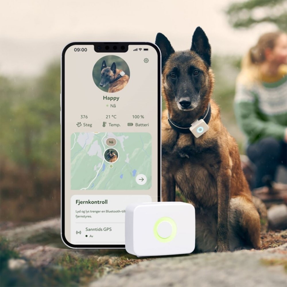 Lildog GPS-tracker til hund