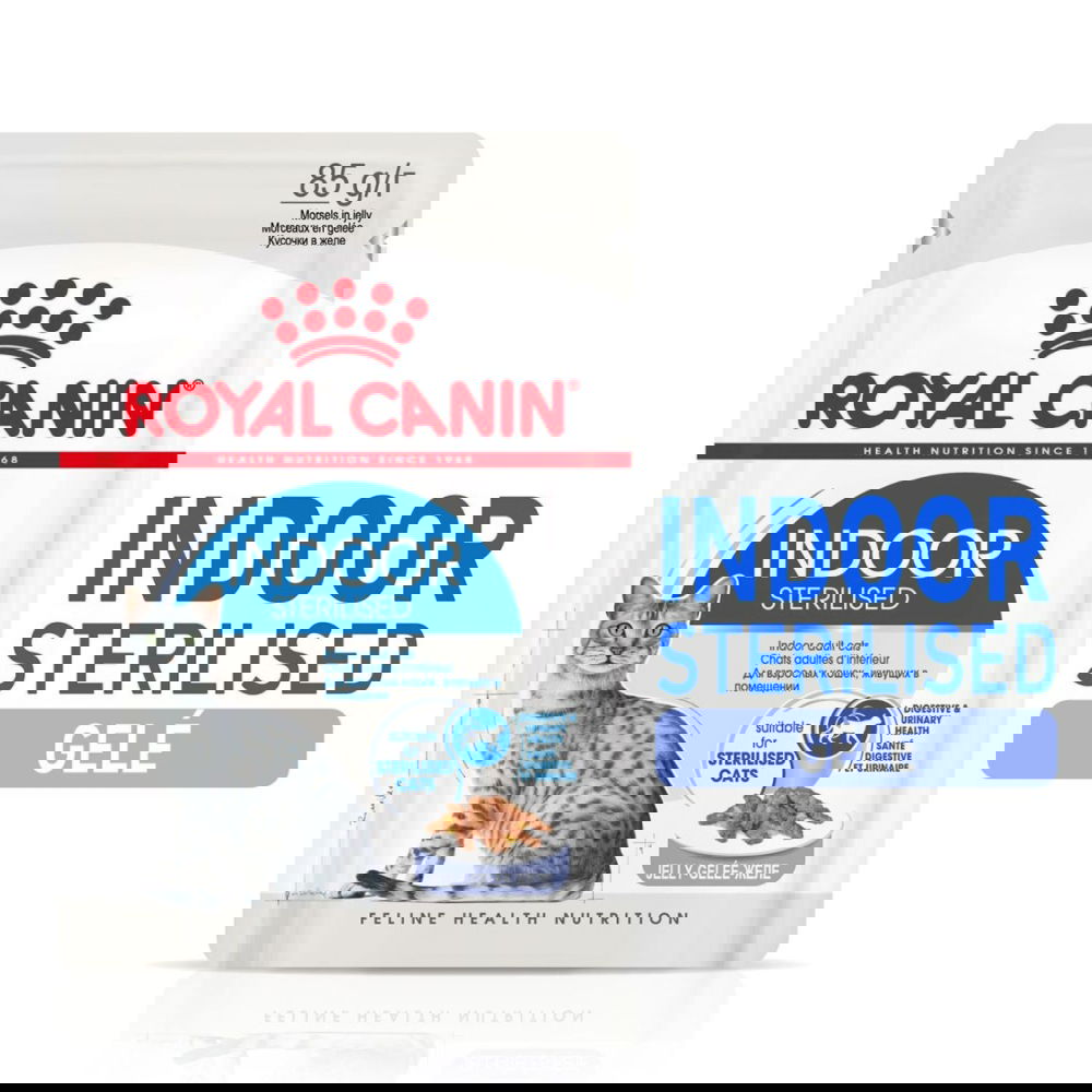 Royal Canin Indoor in Jelly Adult