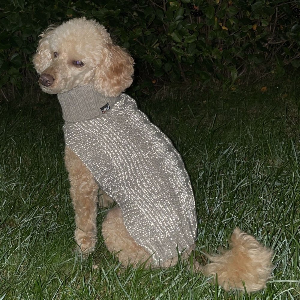 Bilde av Rukka Sparky Hundtegenser Reflekterande Beige (L) - Alt til hunden