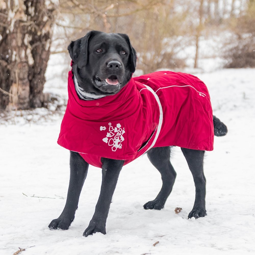 Bilde av Hurtta Extreme Warmer Vinterdekken Rød (40 cm) - Alt til hunden