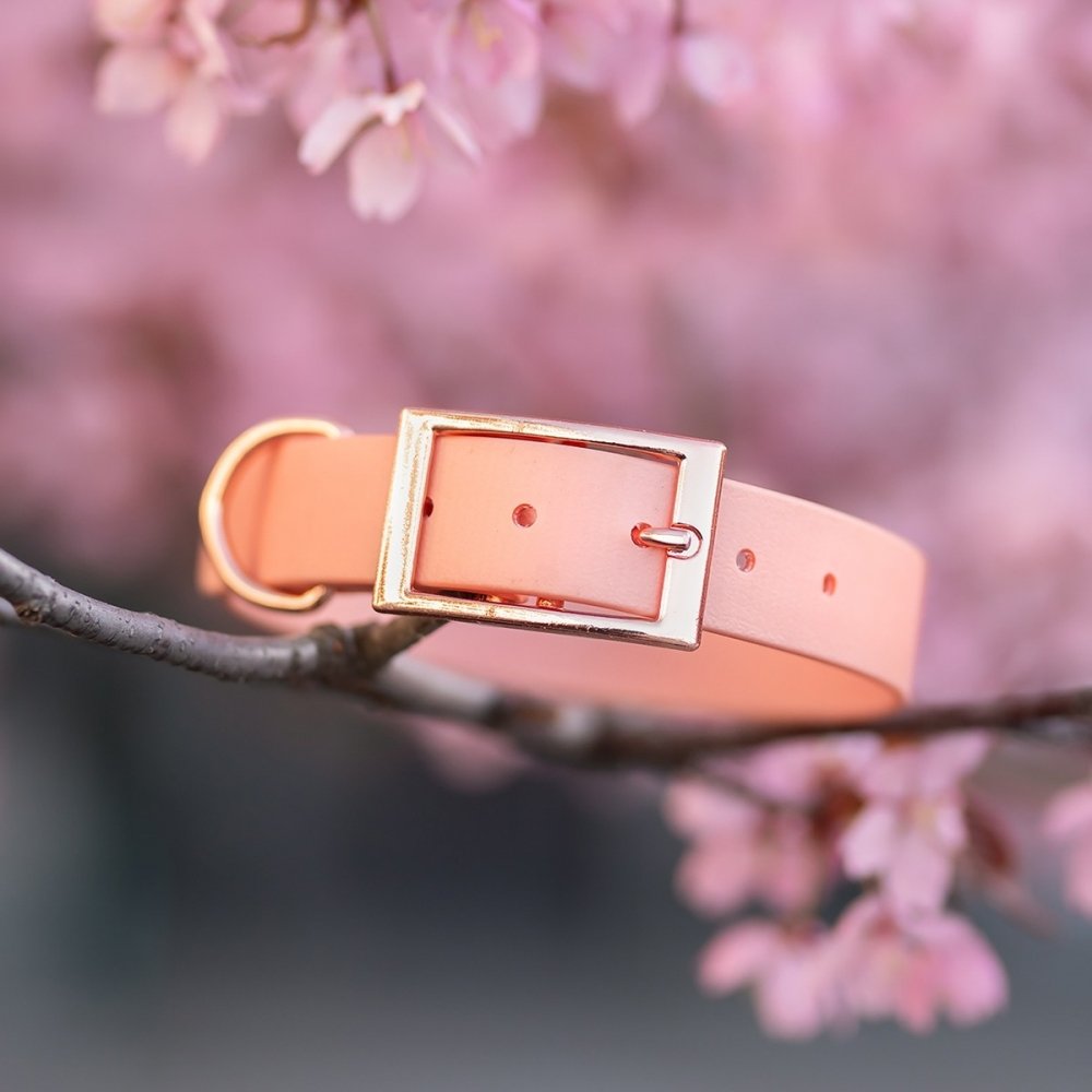 Tyylivoitto Classy Hundehalsband Stor Modell Fresken (L)