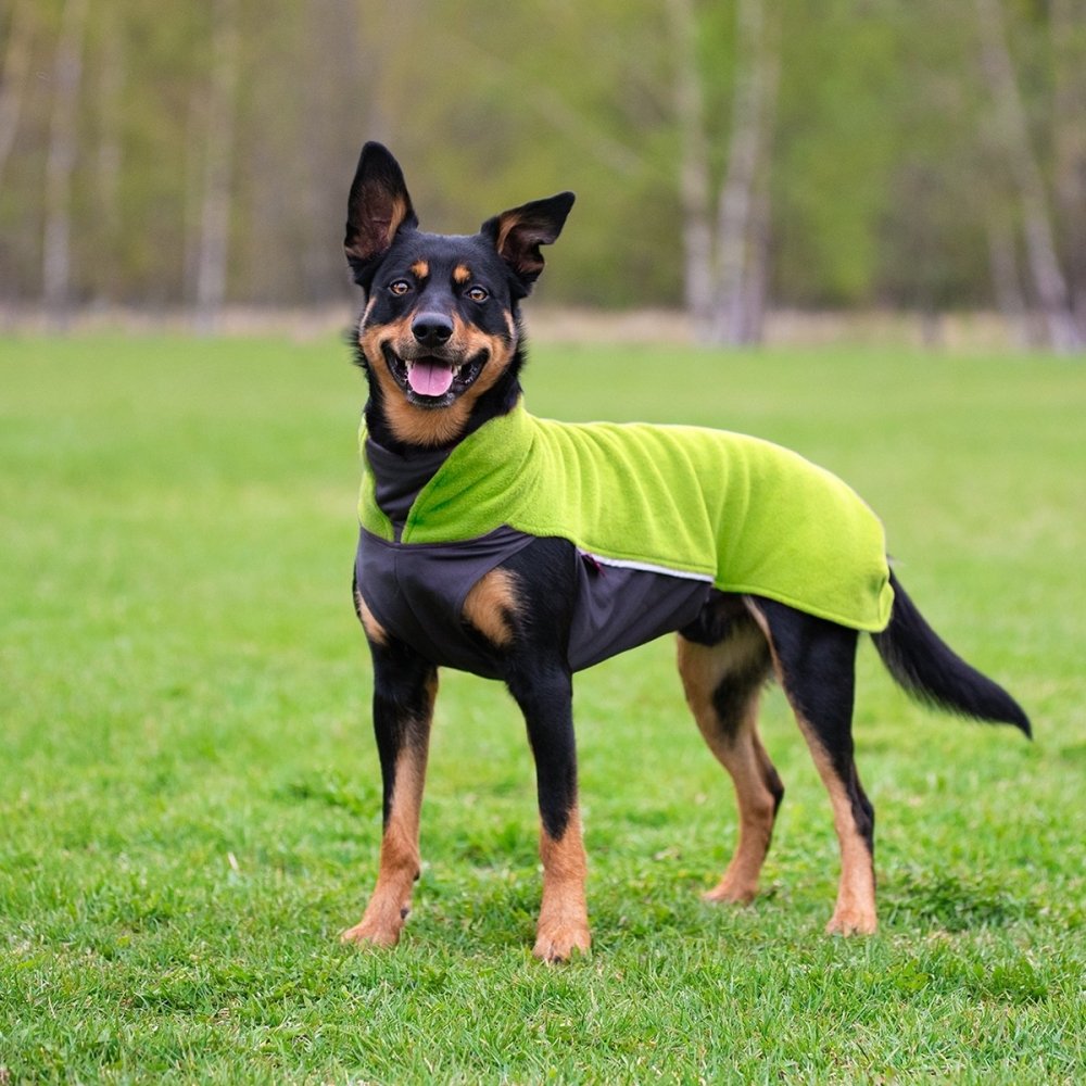 Bilde av Pomppa Jumppa Fleecetrøye Hund Grøn (25 cm) - Alt til hunden