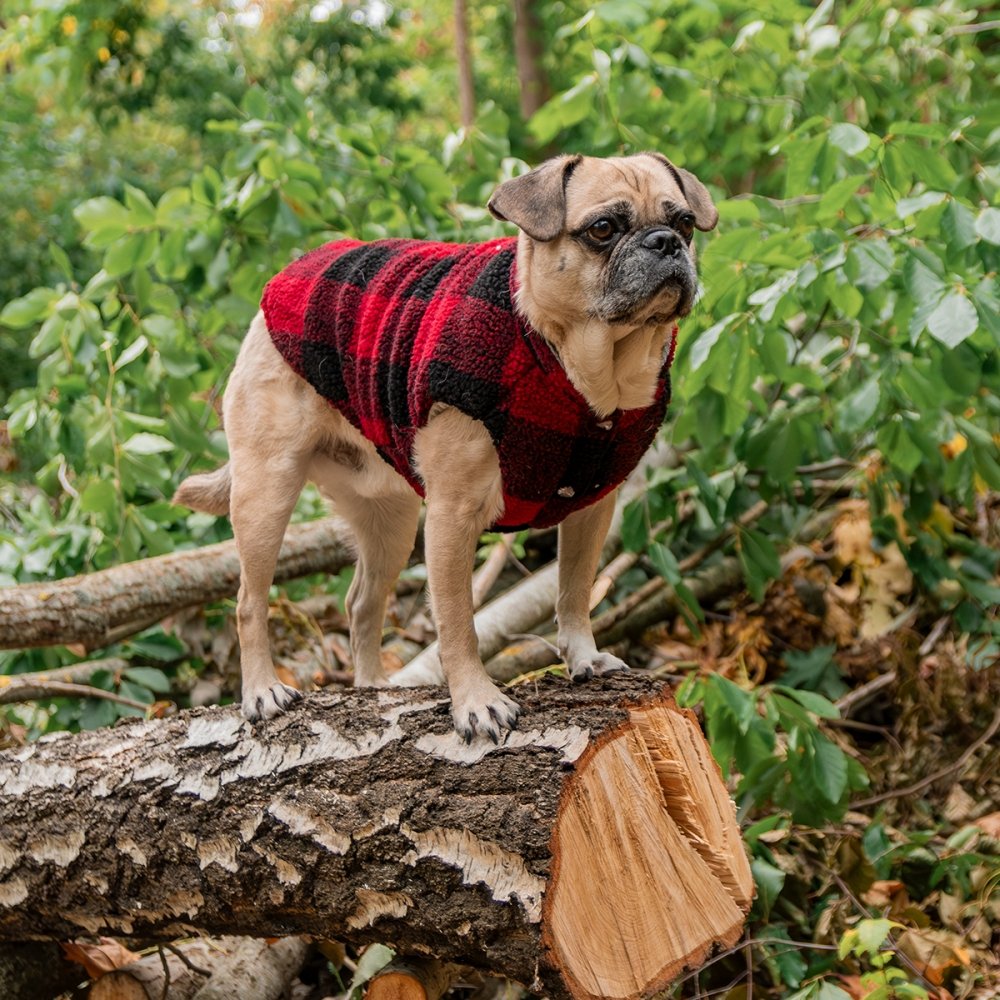Bilde av Fuzzyard The Lumberjack Hundejakke Svart/rød (4)