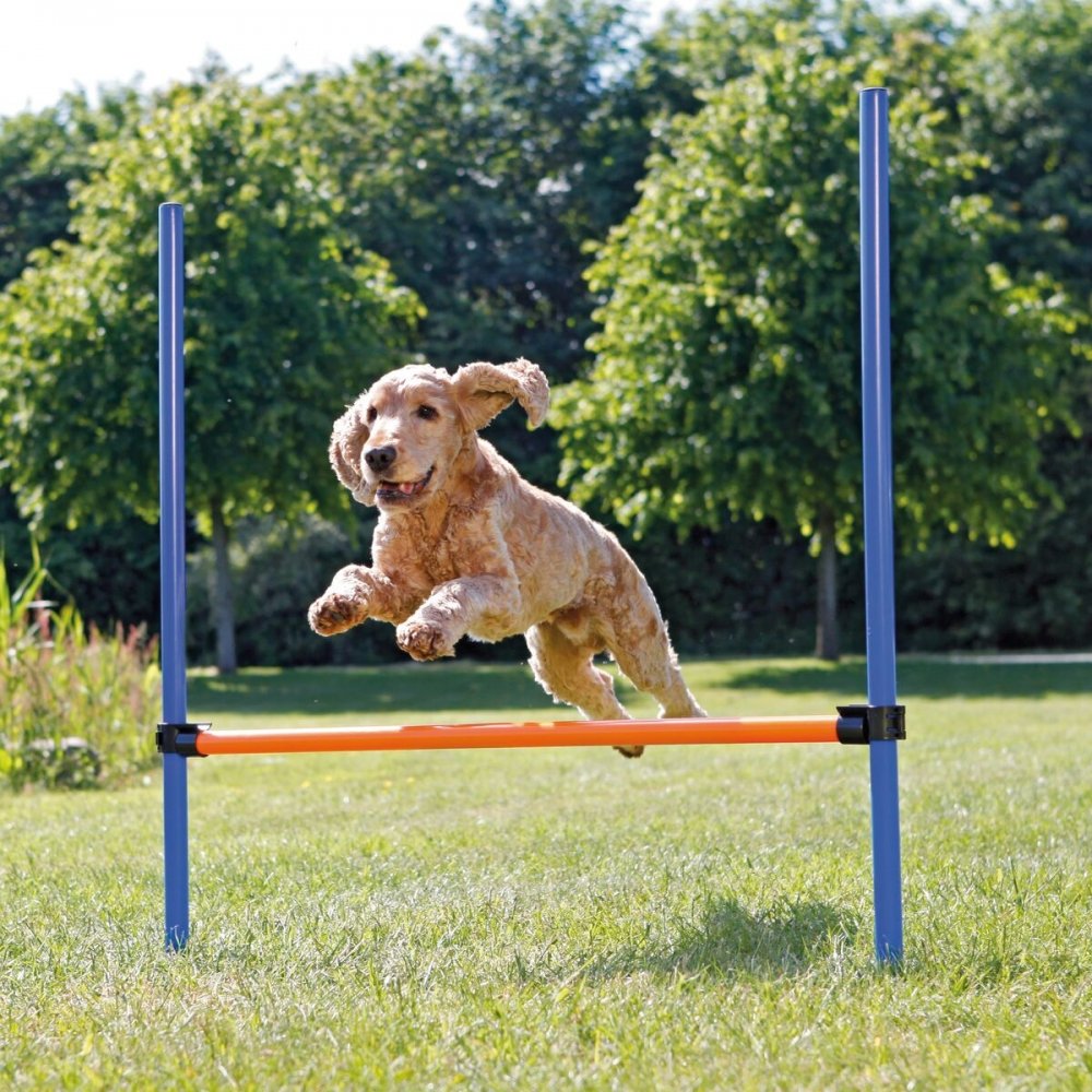 Trixie Agility Hopphinder Hund - Hundetrening - Agility