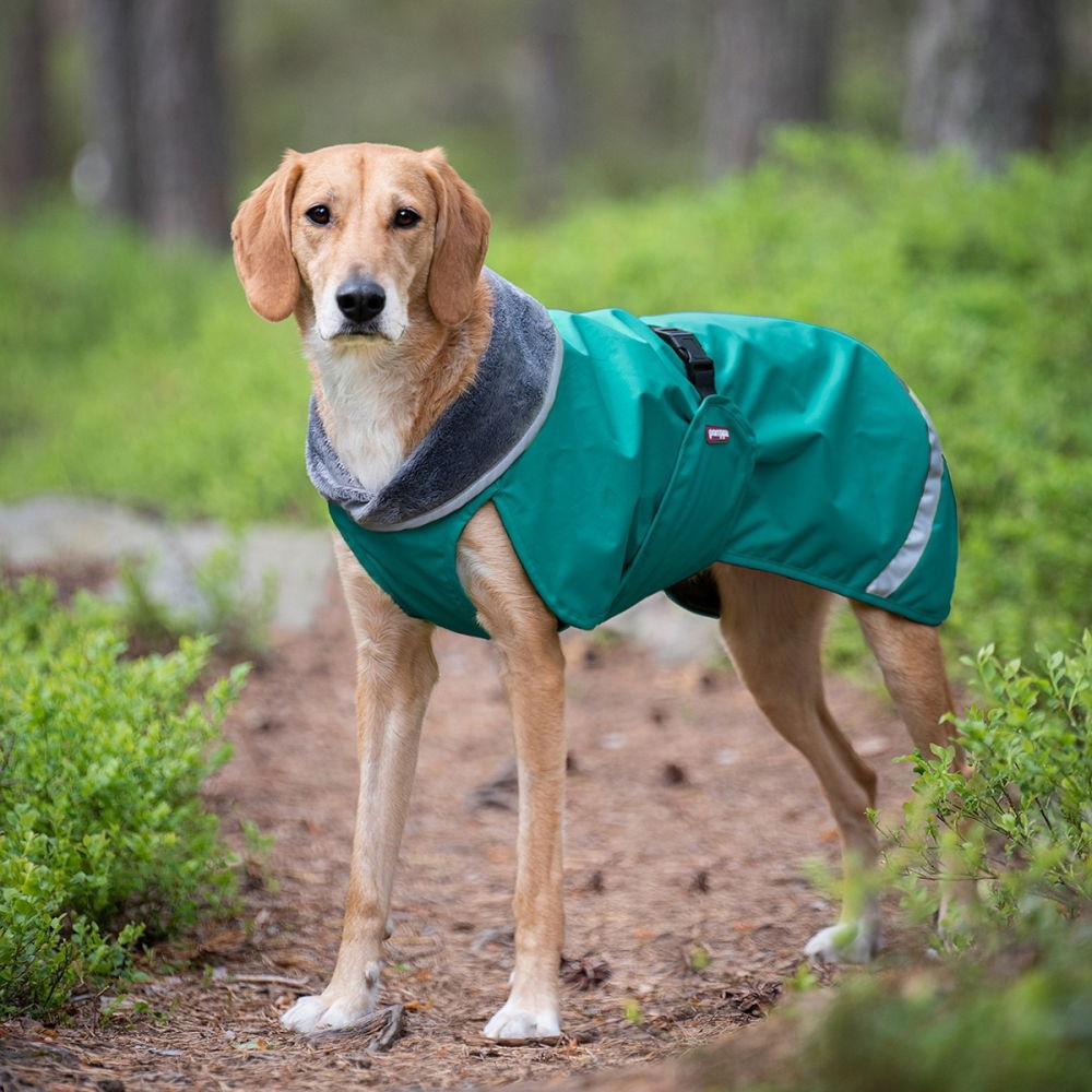 Bilde av Pomppa Kevyt Hundedekken for Sele  blå/ grønn (25) - Alt til hunden