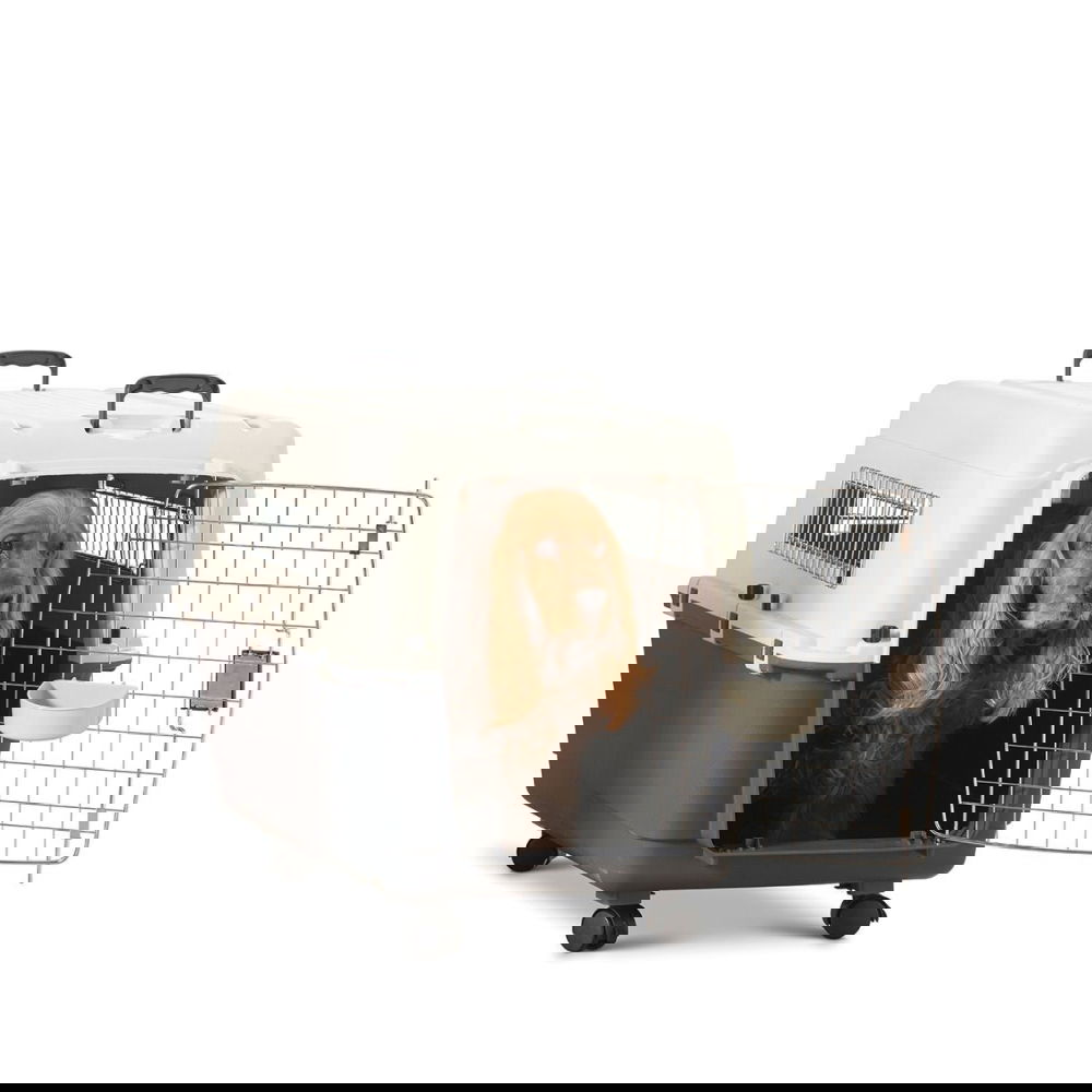 Savic Andes Flybur/Transportbur (4)