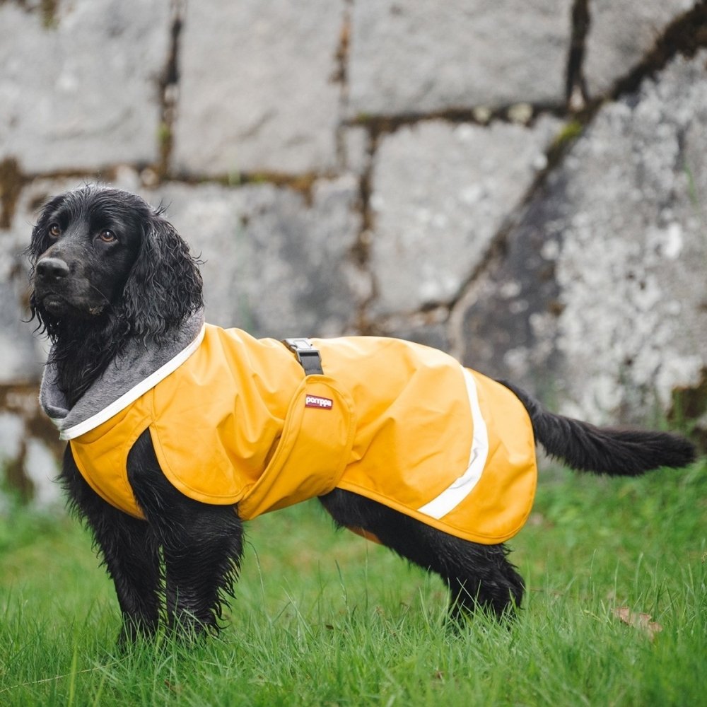 Bilde av Pomppa Kevyt Regndekken Hund Gul (25 cm) - Alt til hunden