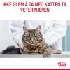 Royal Canin Hair & Skin Care